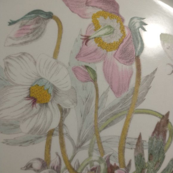 Portmeirion Botanic Garden Dinner Plate Helleborus or Christmas Rose - Picture 4 of 7